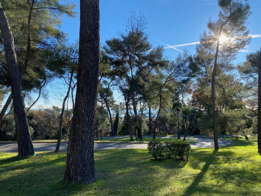 2-Room 60 M², Panoramic View, 2 Balconies, 50M Pool Cagnes-sur-Mer Eksteriør billede
